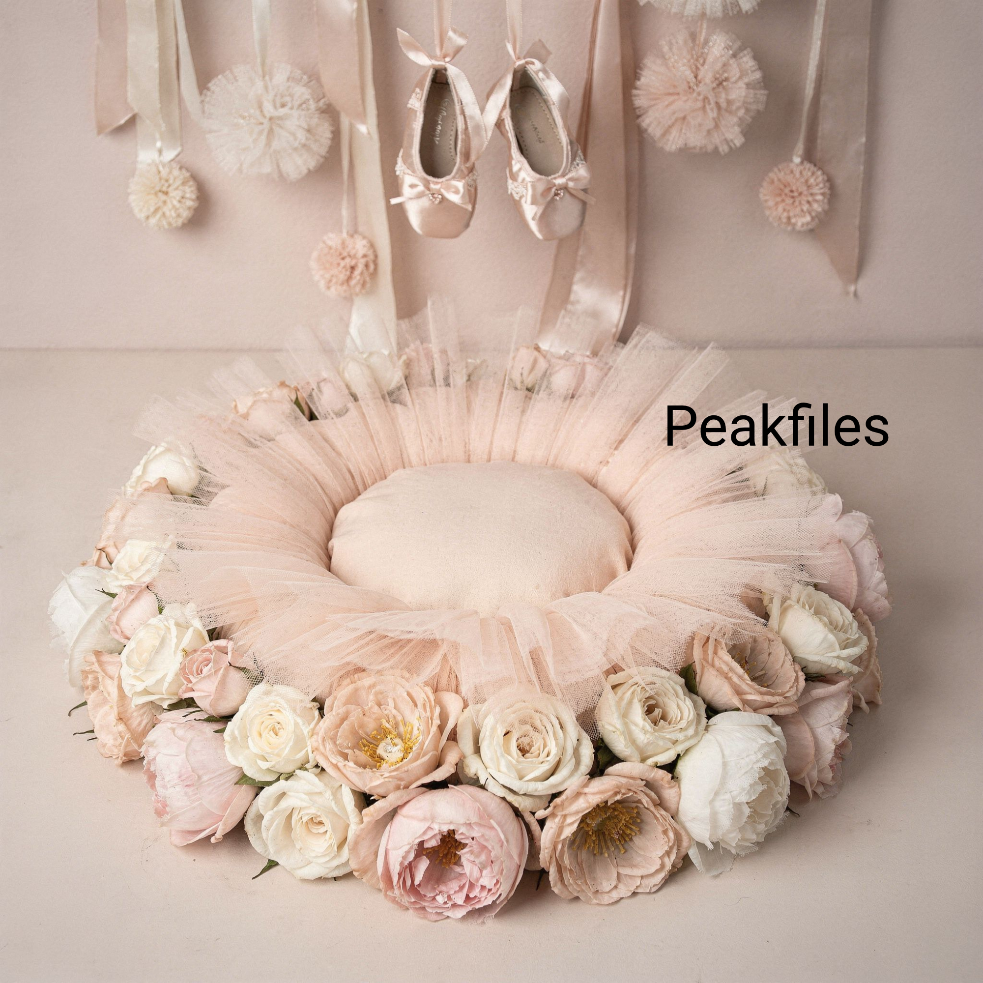 Ballet Newborn Backdrop, Blush Pink Floral Baby Photo Prop, Tutu Nest Background, Newborn Photography Setup, Baby Girl Prop - Thumbnail 2