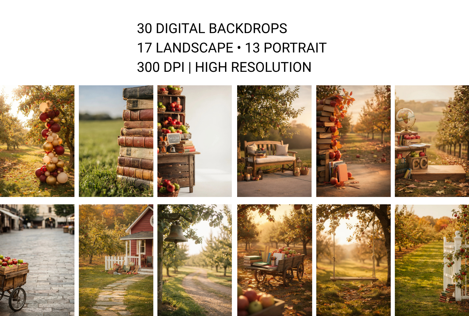30 Back to School Apple Orchard Digital Backdrop Bundle, Fall School Portrait Background, Kindergarten Photography Prop, JPG Download - Thumbnail 13